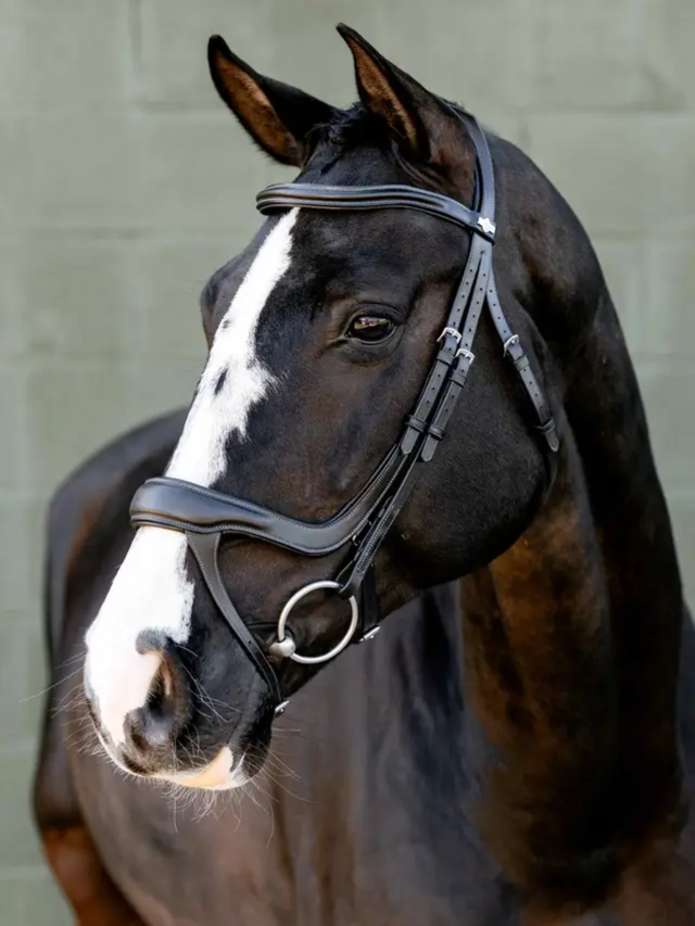 LeMieux Arika Anatomic Split Noseband Bridle Black/Silver
