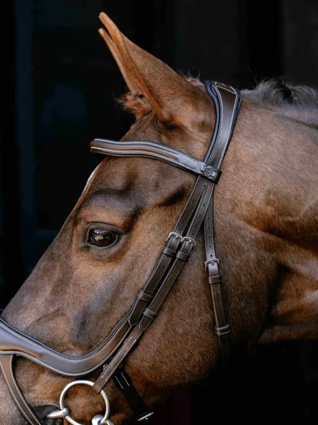 LeMieux Arika Anatomic Split Noseband Bridle Brown/Silver