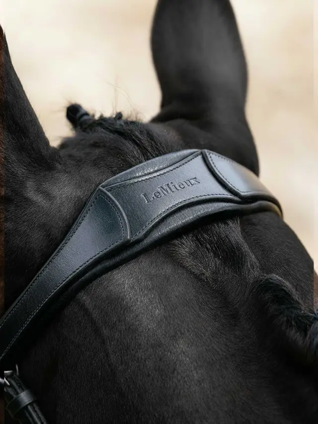 LeMieux Arika Anatomic Cavesson Bridle Black/Silver