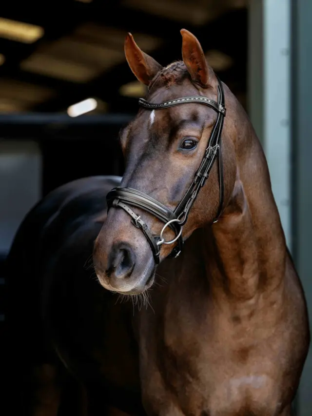 LeMieux Arika Anatomic Dressage Bridle Black/Silver