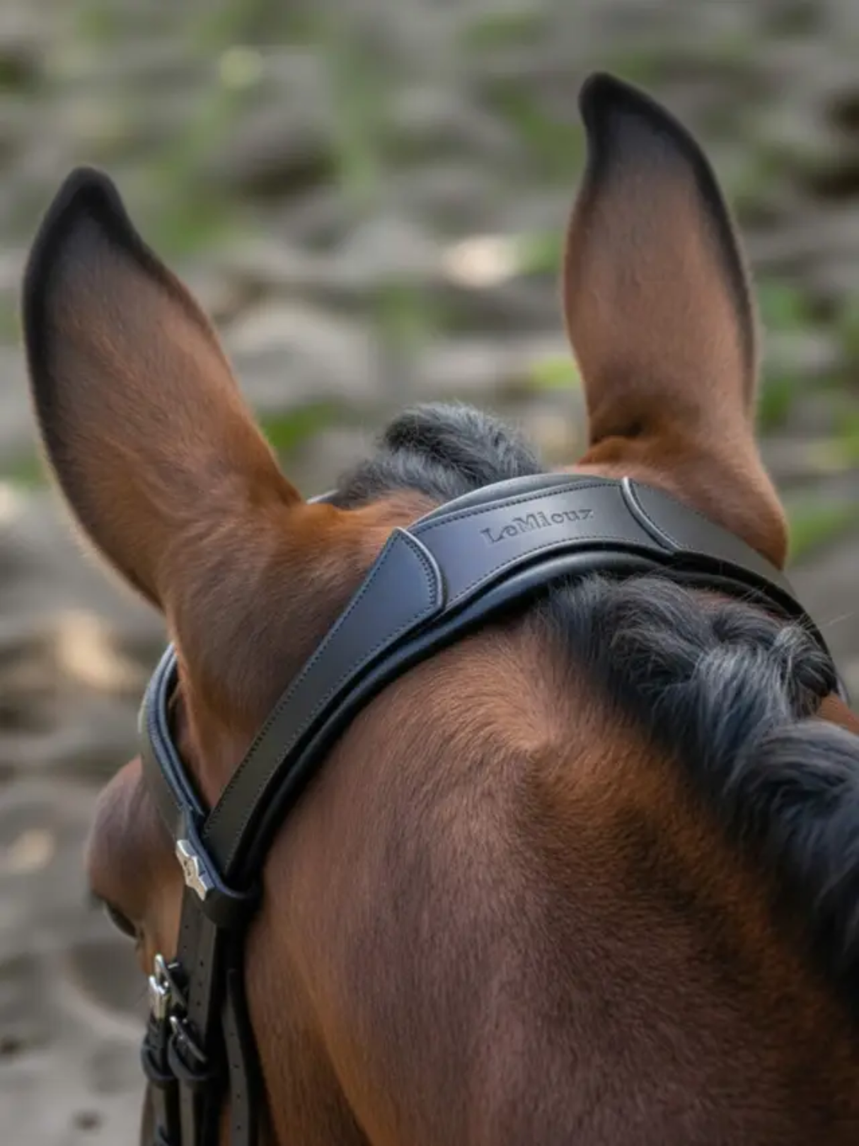 LeMieux Arika Anatomic Dressage Bridle Black/Silver