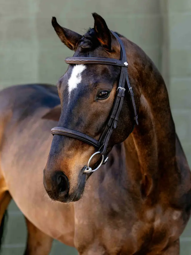 LeMieux Arika Classique Cavesson Bridle Brown