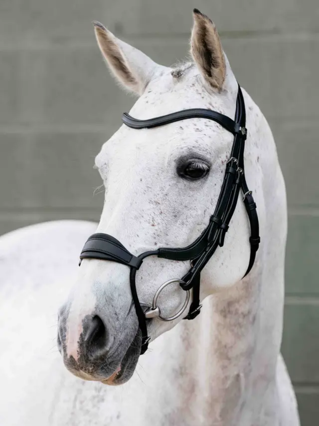 LeMieux Arika Anatomic Adjustable Noseband Bridle Black/Silver