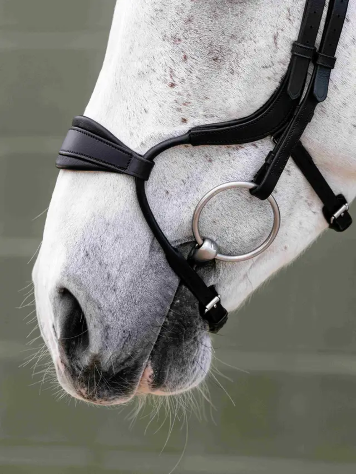 LeMieux Arika Anatomic Adjustable Noseband Bridle Black/Silver