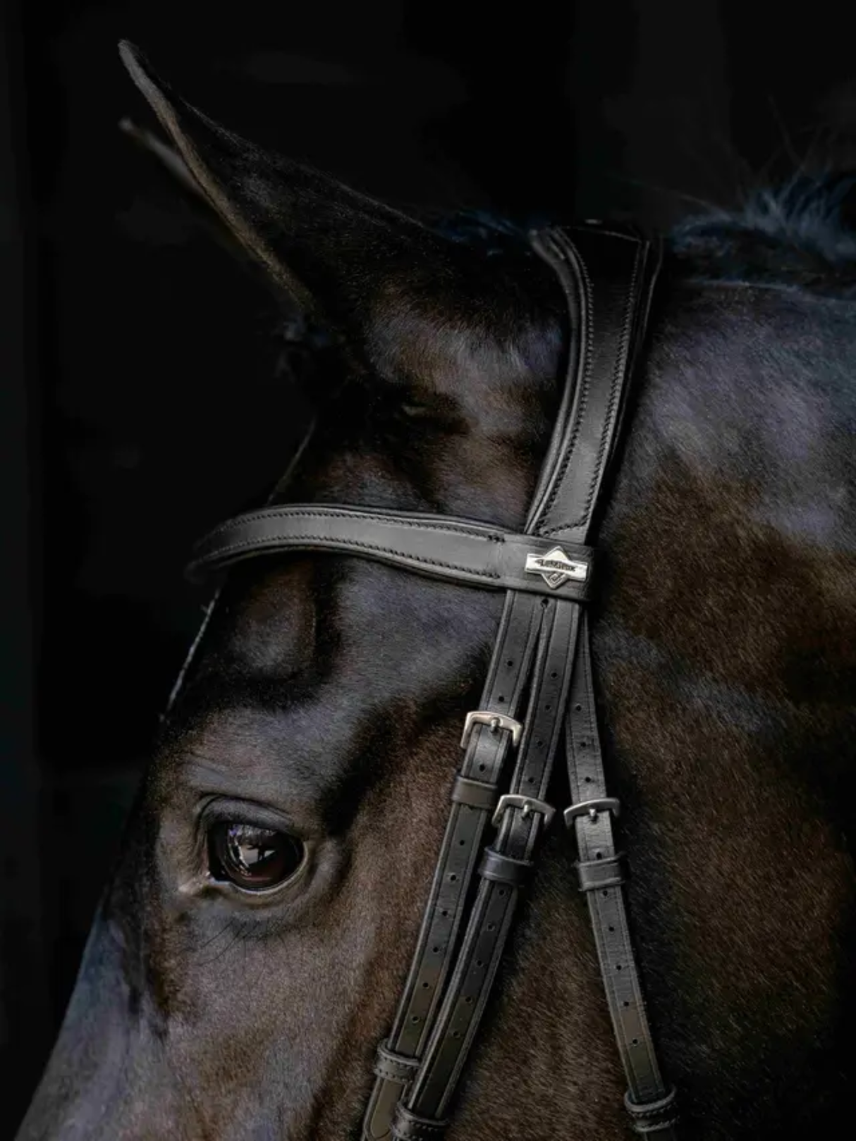 LeMieux Arika Anatomic Drop Bridle Black/Silver
