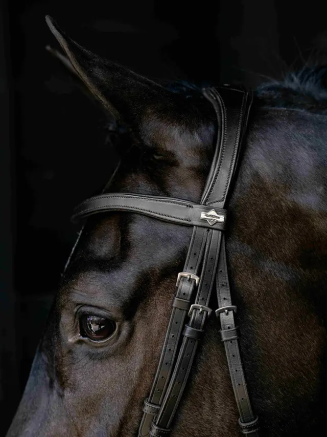 LeMieux Arika Anatomic Drop Bridle Black/Silver