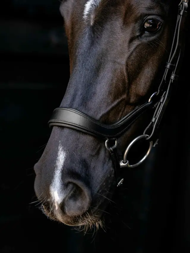 LeMieux Arika Anatomic Drop Bridle Black/Silver