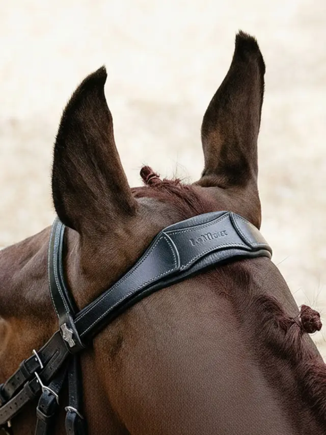 LeMieux Arika Anatomic Drop Bridle Brown/Silver