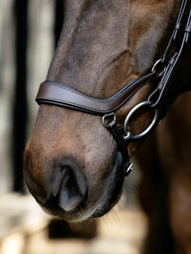LeMieux Arika Anatomic Drop Bridle Brown/Silver