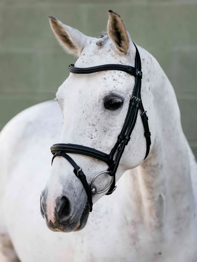 LeMieux Arika Anatomic Flash Bridle Black/Silver