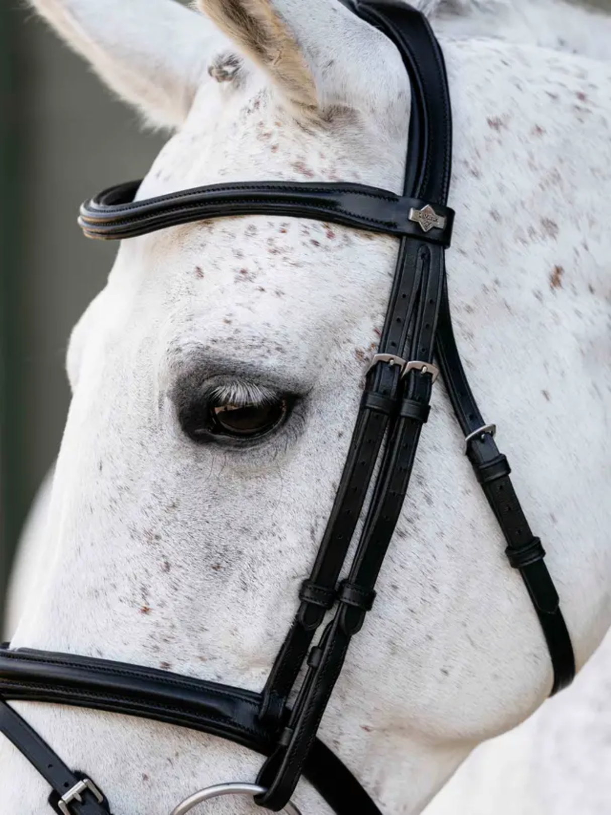 LeMieux Arika Anatomic Flash Bridle Black/Silver