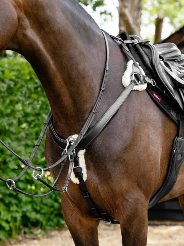 LeMieux Kudos 5 Point Bridge Breastplate Black