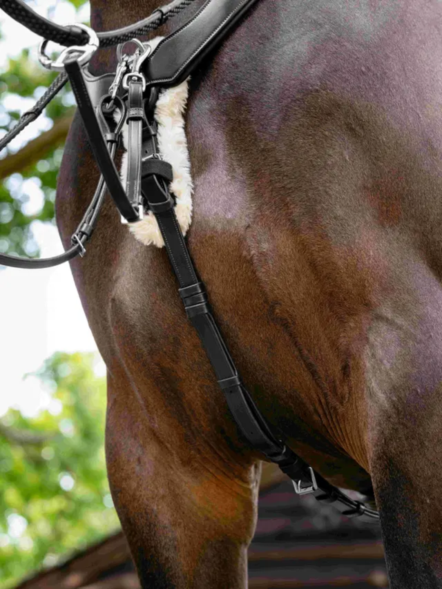 LeMieux Kudos 5 Point Bridge Breastplate Black