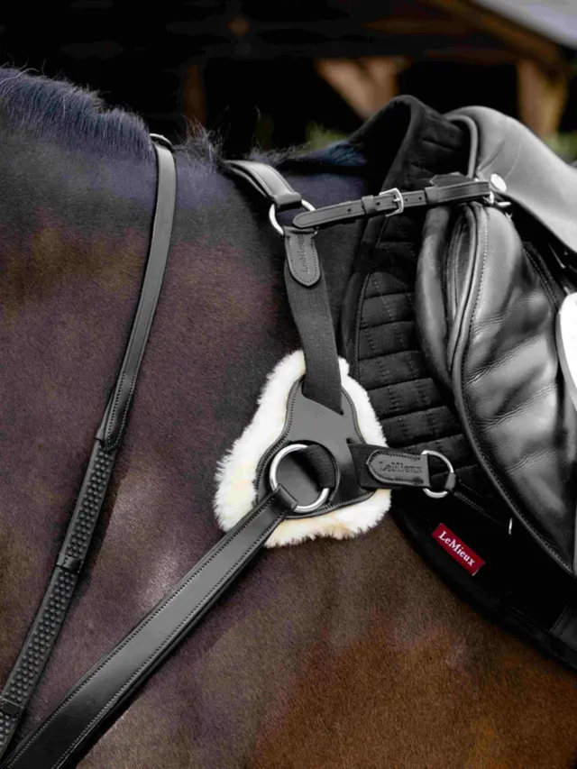 LeMieux Kudos 5 Point Bridge Breastplate Black