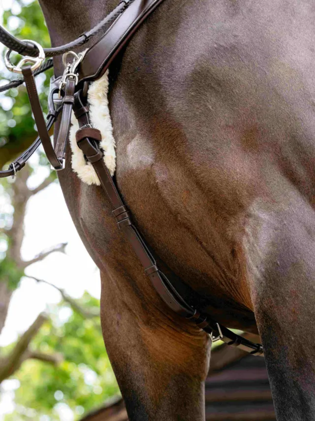 LeMieux Kudos 5 Point Bridge Breastplate Havana