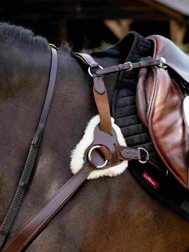 LeMieux Kudos 5 Point Bridge Breastplate Havana
