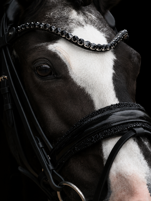 SD Design Diamond Bridle Black