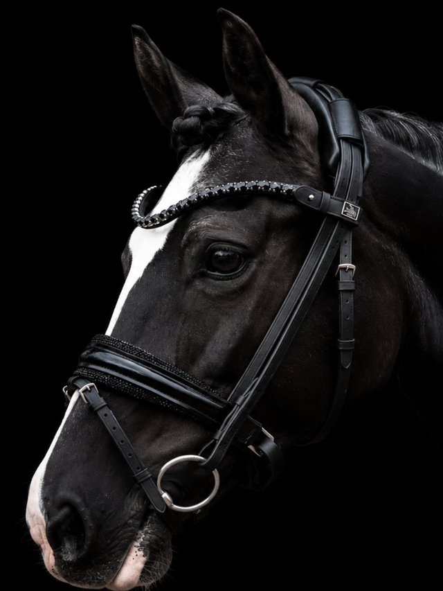 SD Design Diamond Bridle Black