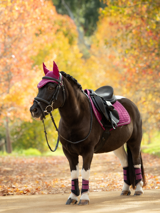 LeMieux Suede Close Contact Jump Saddle Pad Blackberry