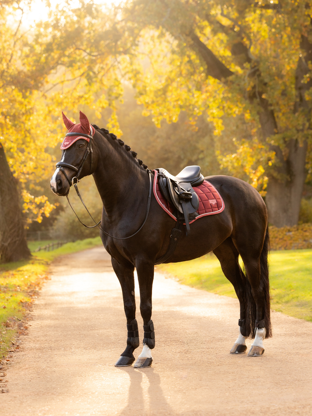 LeMieux Loire Ear Bonnet Russet