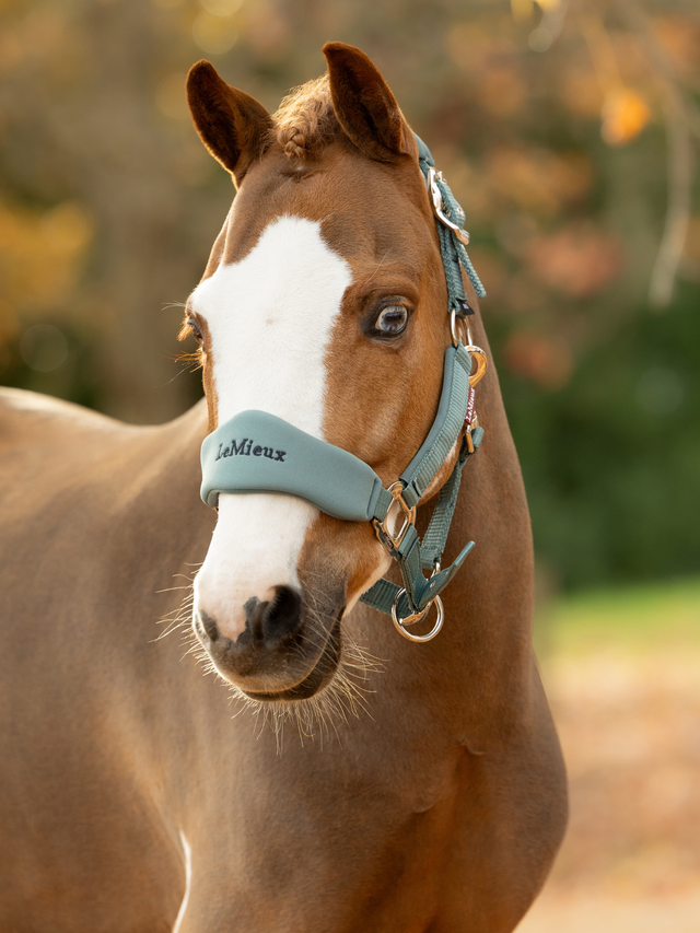 LeMieux Mini Vogue Breakaway Headcollar & Leadrope Aloe