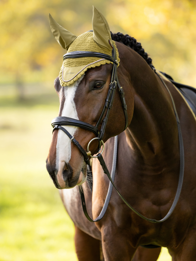 LeMieux Classic Fly Hood Gooseberry