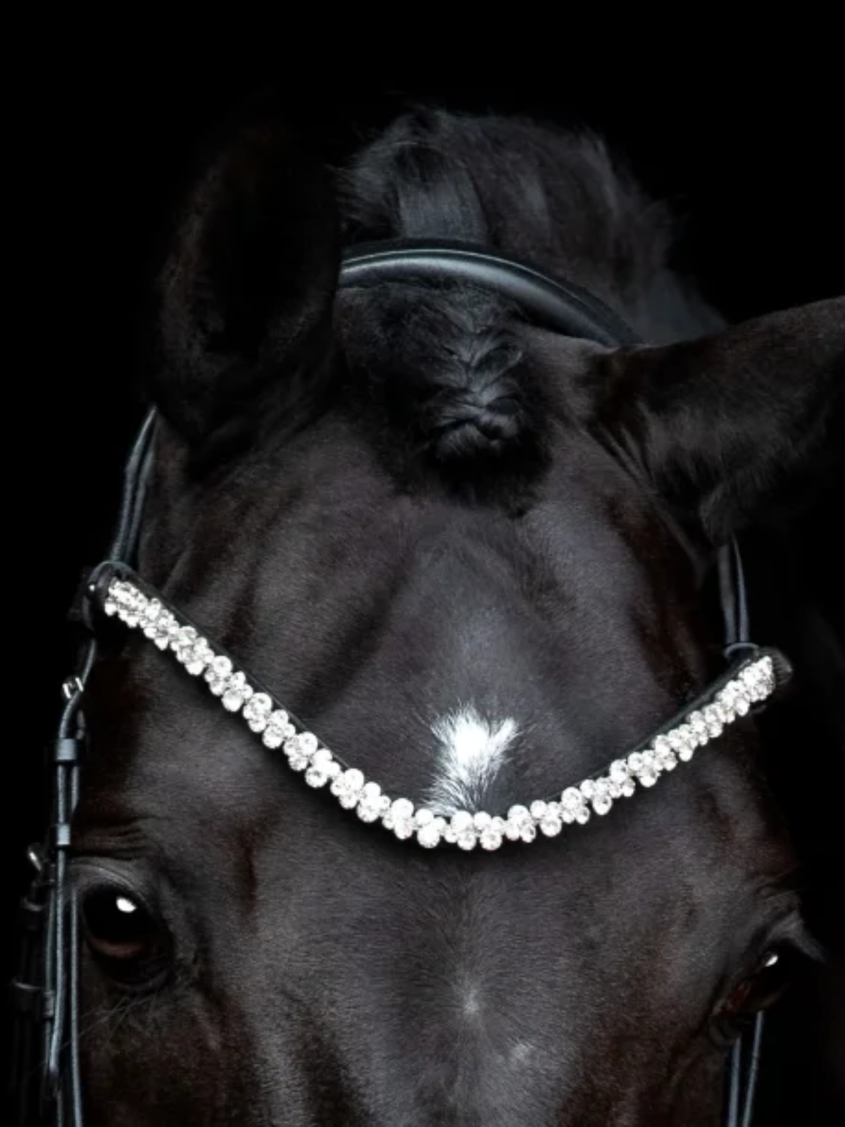 SD Design Romanov Browband Black/Silver