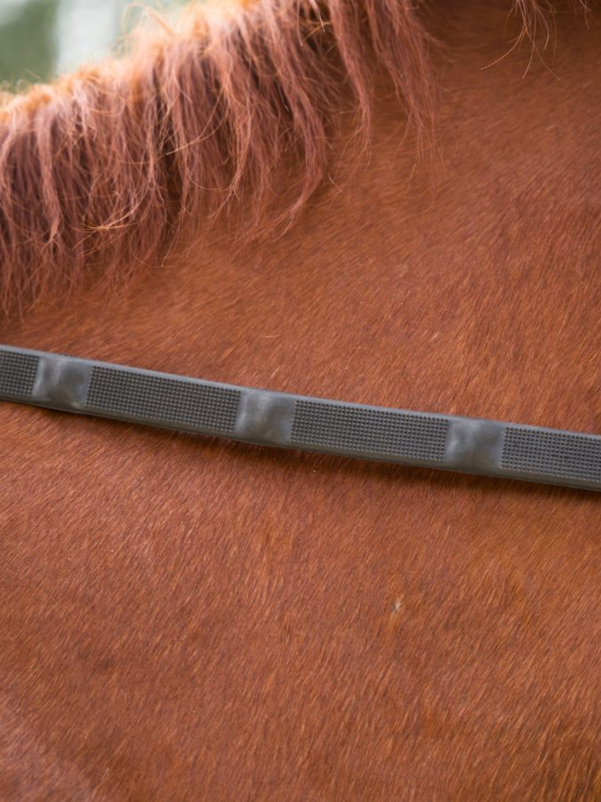 Correct Connect Ergo Grip Reins