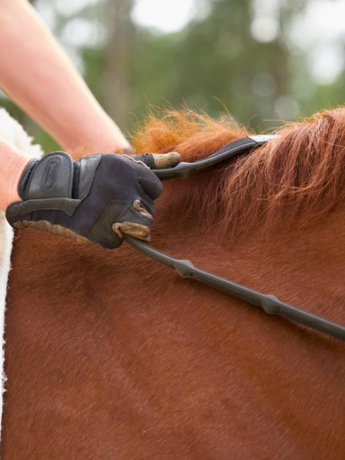 Correct Connect Ergo Grip Reins