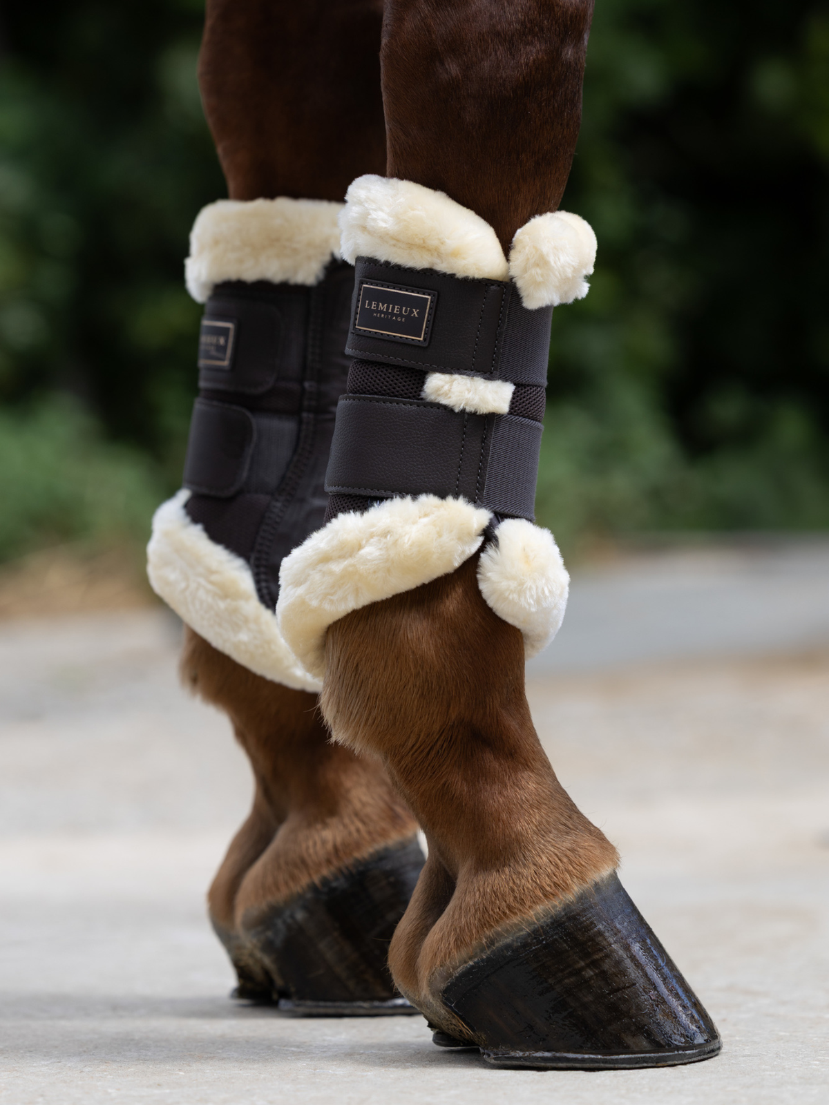 LeMieux Heritage Fleece Edged Brushing Boots Cocoa