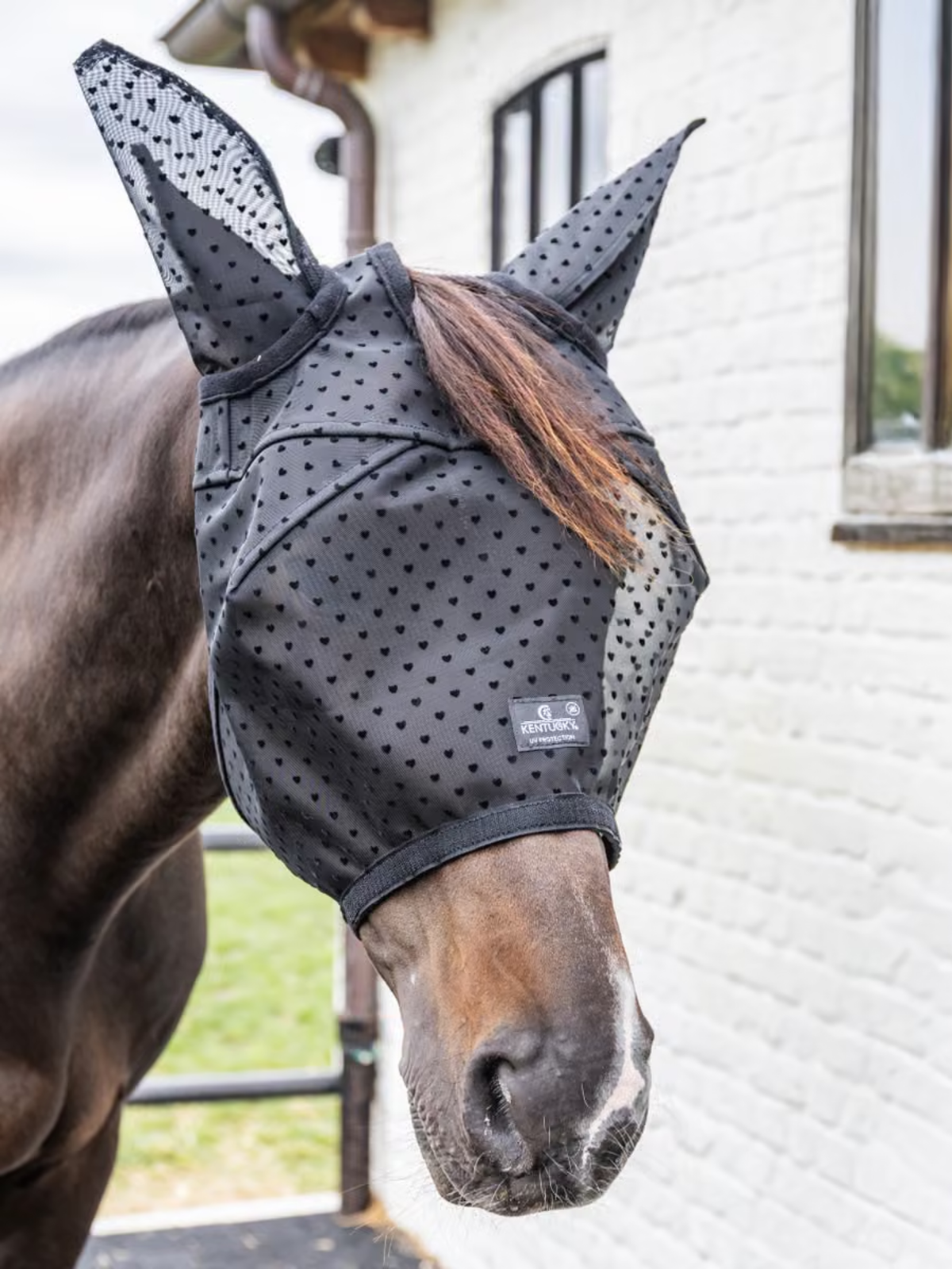 Kentucky Horsewear Fly Mask Heart Black