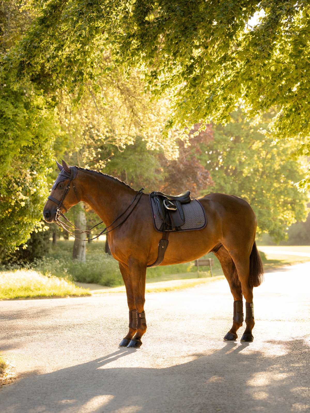 LeMieux Heritage Herringbone Dressage Saddle Pad Cocoa