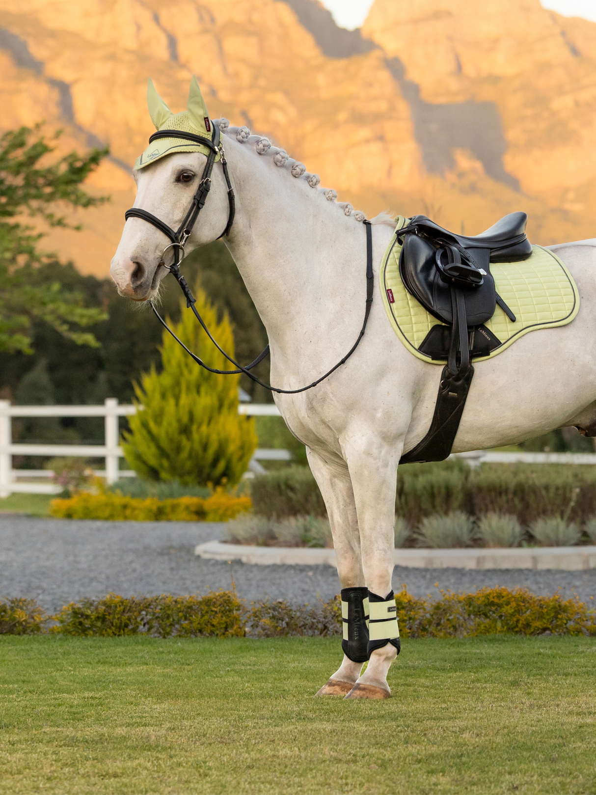 LeMieux Suede GP Saddle Pad Macaron