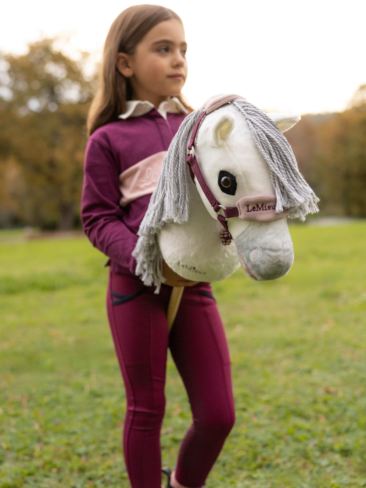 LeMieux Hobby Horse Coco