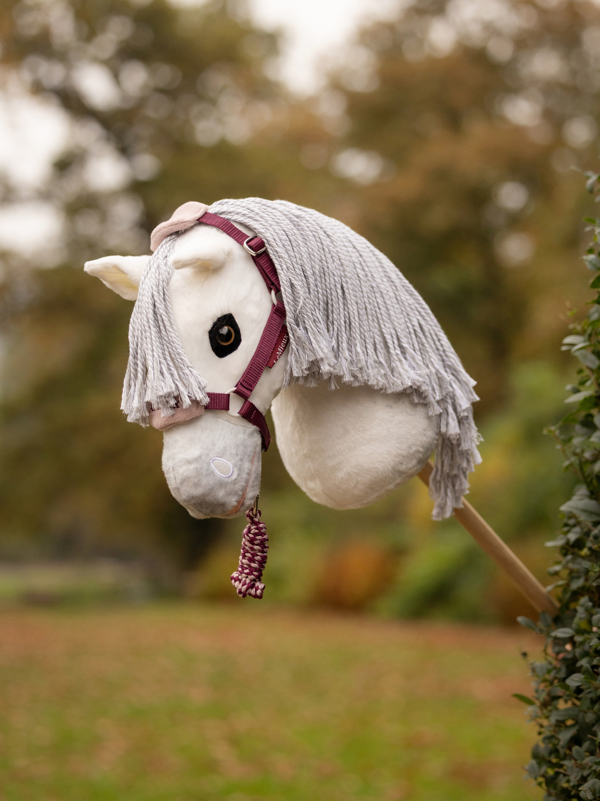 LeMieux Hobby Horse Vogue Headcollar and Leadrope Blackberry