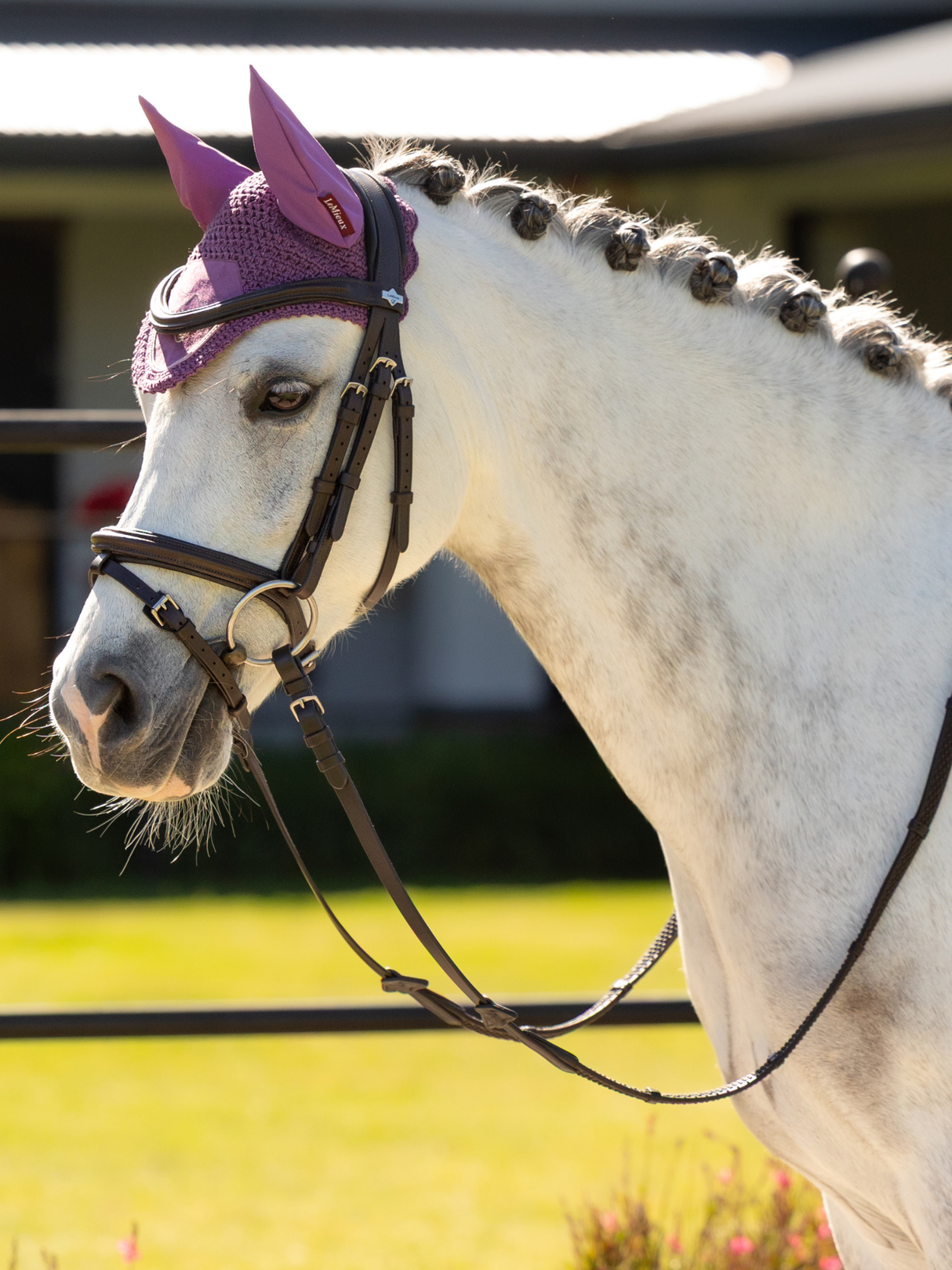 LeMieux Mini Classic Fly Hood Mallow