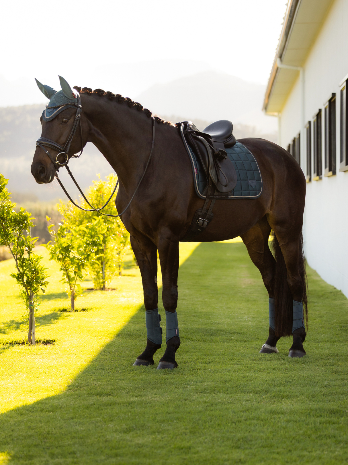 LeMieux Loire Dressage Saddle Pad Jungle