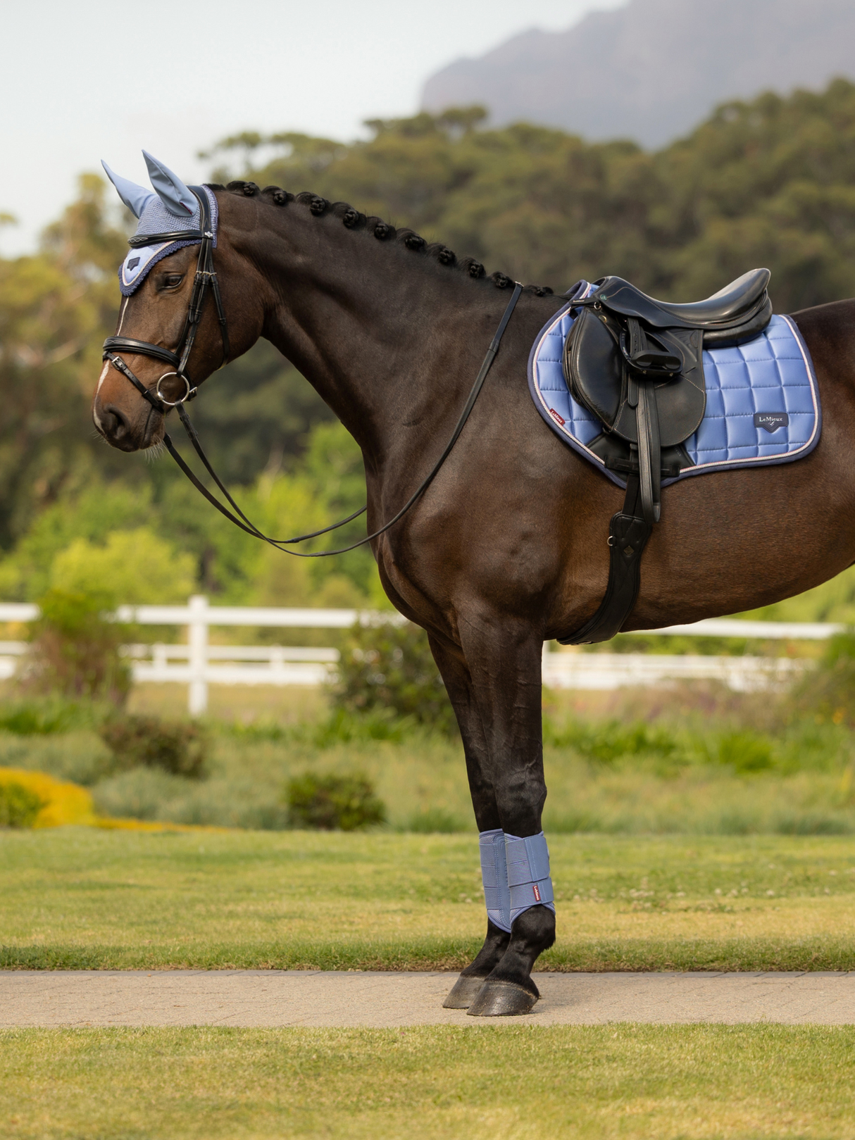 LeMieux Loire Close Contact Jump Saddle Pad Powder Blue