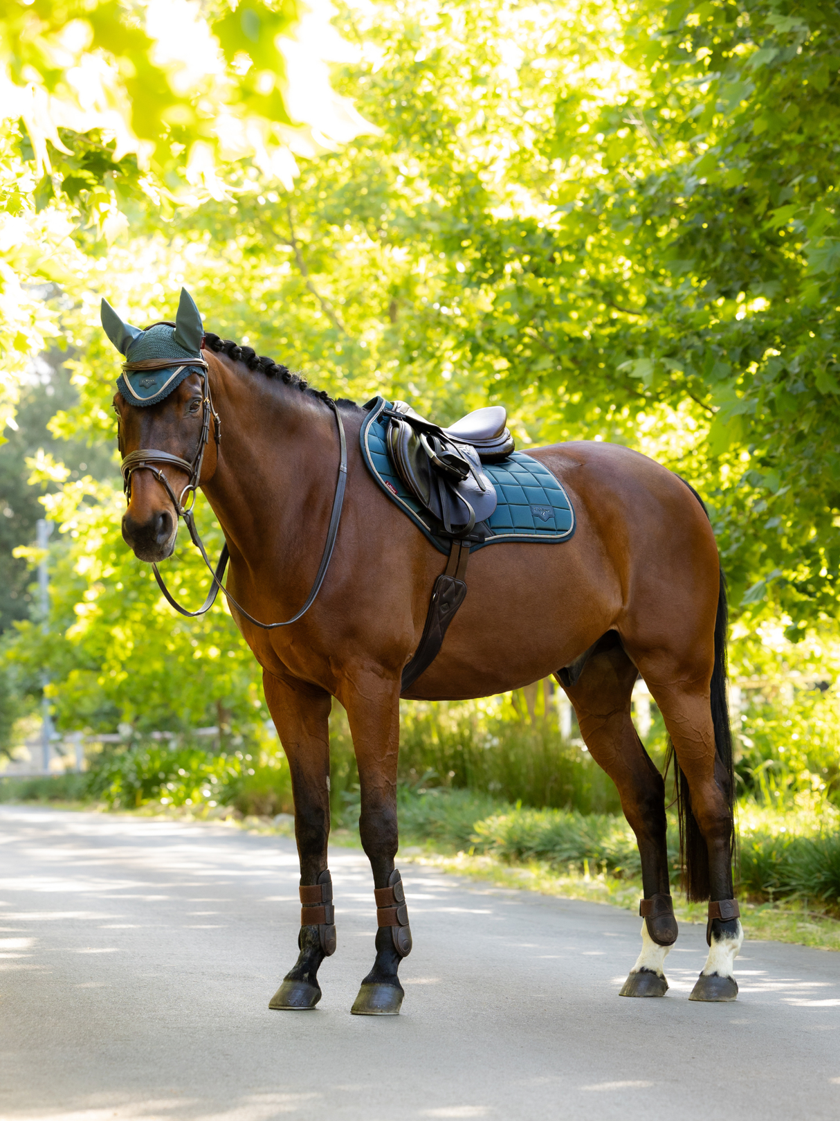 LeMieux Loire Close Contact Jump Saddle Pad Jungle