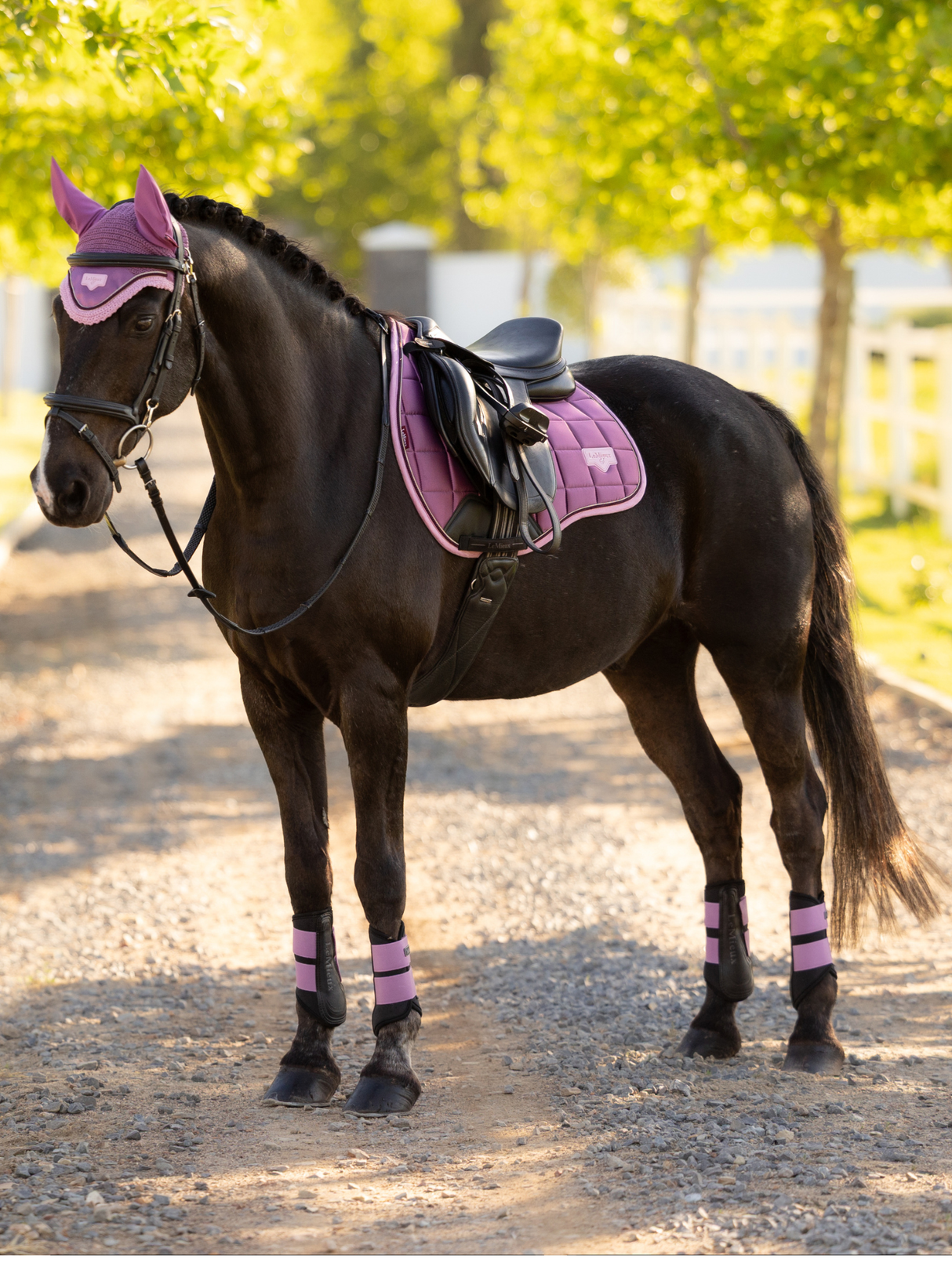 LeMieux Loire GP Saddle Pad Mallow