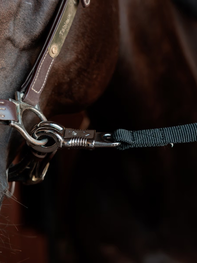 Kentucky Horsewear Float & Cross Tie Leads Safety
