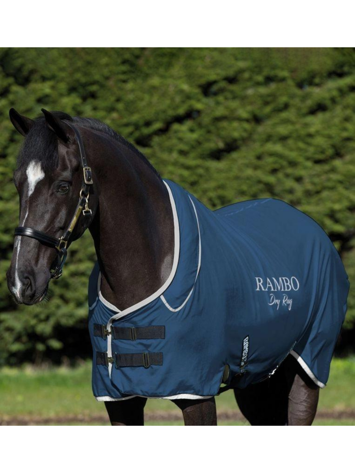 Rambo Supreme Dry Rug