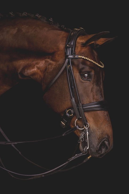 Utzon Equestrian Edinburgh Double Bridle