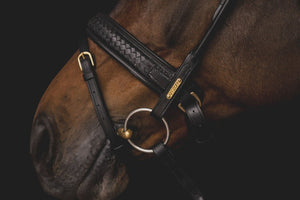 Utzon Equestrian Olympic Bridle