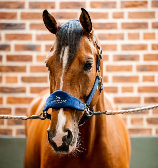 Horseware Signature Grooming Headcollar Navy