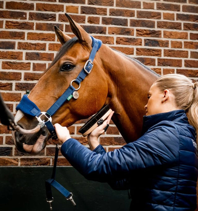 Horseware Signature Grooming Headcollar Navy