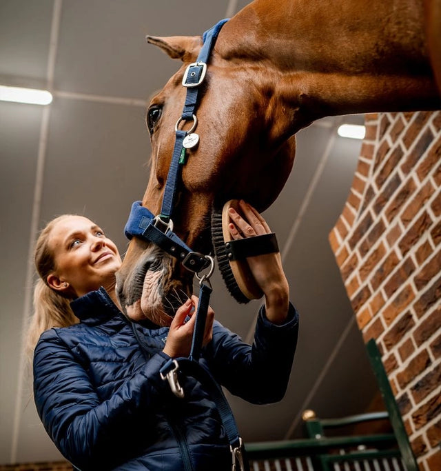 Horseware Signature Grooming Headcollar Navy