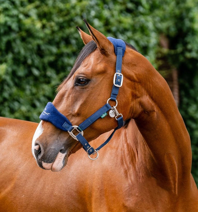 Horseware Signature Grooming Headcollar Navy