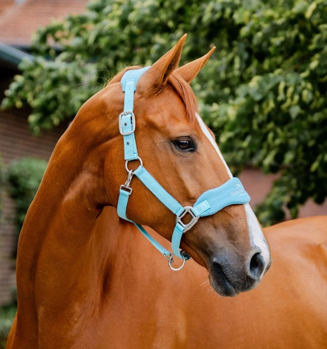 Horseware Signature Grooming Headcollar Blue Haze