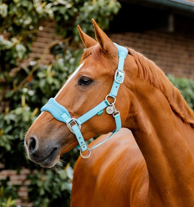 Horseware Signature Grooming Headcollar Blue Haze